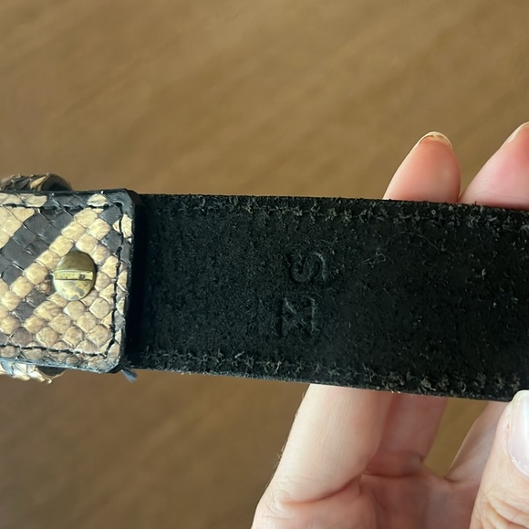AUTHENTIC Python Belt - Picture 3 of 4